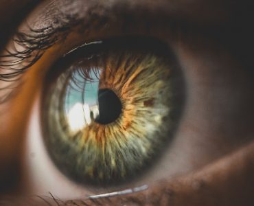 Age Related Macular Degeneration