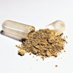 Exploring the Benefits of Astragalus Membranaceus: A Guide to Health and Wellness