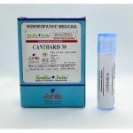 Chamomilla in Homeopathy: Uses, Benefits, Dosage, and Safety