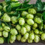 What is the best alternative to alcohol? 14 best ideas