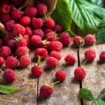 Marshmallow (Althaea officinalis): Uses, Benefits, and Precautions