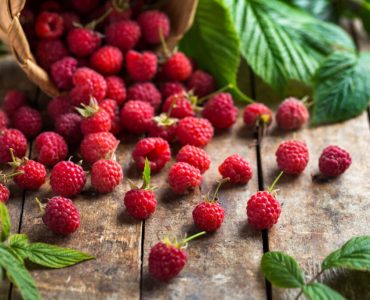 ruspberry leaves