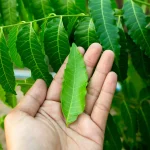 Simple Health Tips for Everyday Wellness