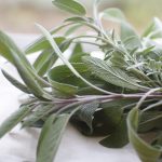 Schisandra – Uses, Side Effects