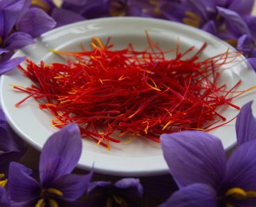 saffron species