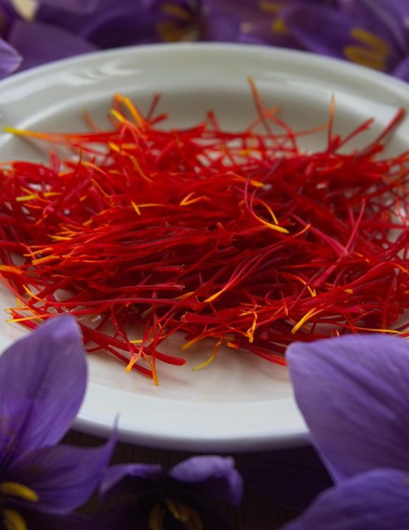 saffron species